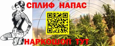 стаф Ефремов