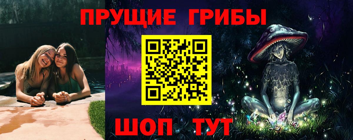 Братск  Галлюциногенные грибы GOLDEN TEACHER  Псилоцибиновые грибы Magic Shrooms  Вход с VPN 